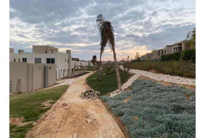 8110866 - صورة العقار 2