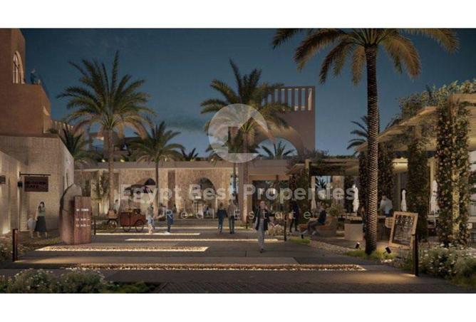 8537193 - Property Image 2