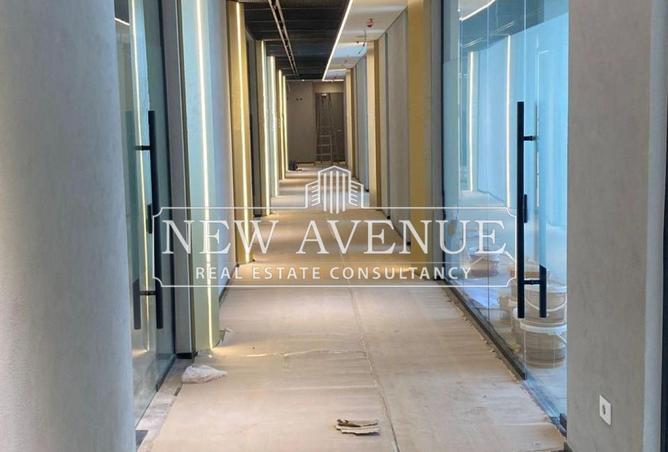 8113978 - Property Image 3