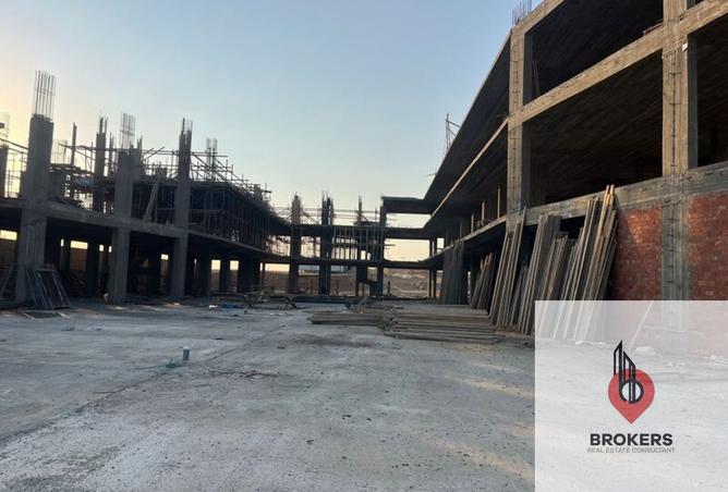 8175943 - Property Image 3