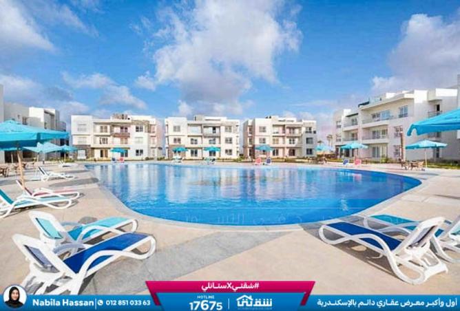 8379379 - Property Image 3