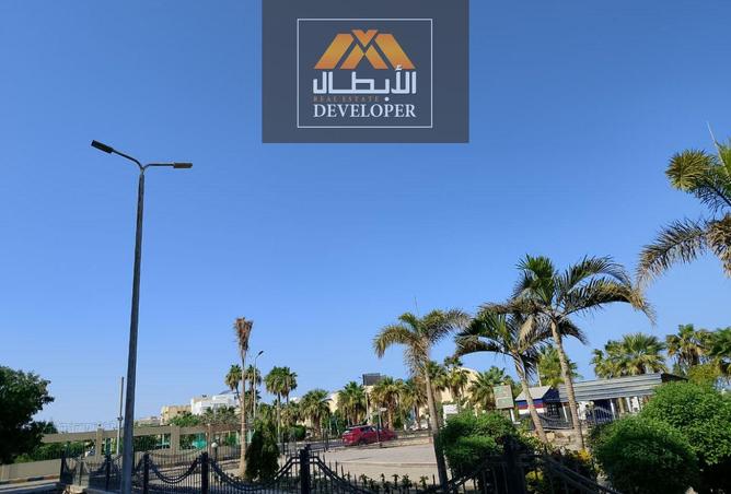 8251655 - Property Image 3