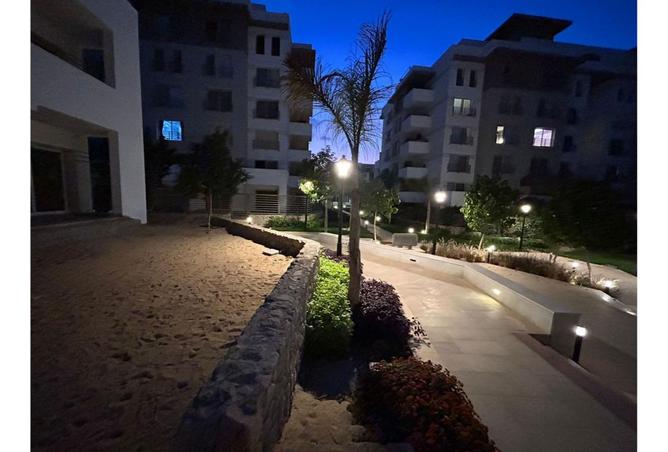 8176382 - صورة العقار 3