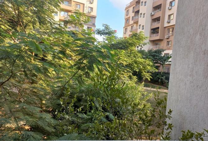 8149303 - Property Image 2