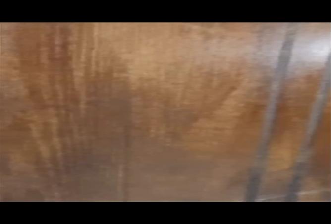 8391989 - Property Image 3