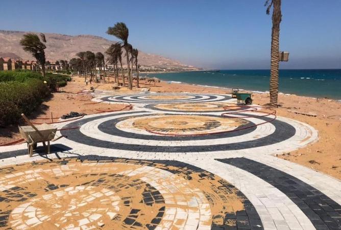 8483868 - Property Image 3