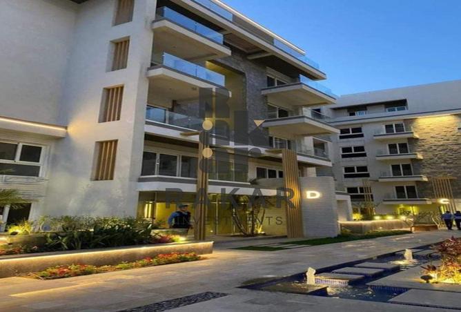 7906478 - Property Image 2