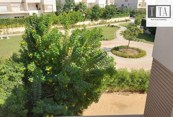 8198140 - Property Image 2