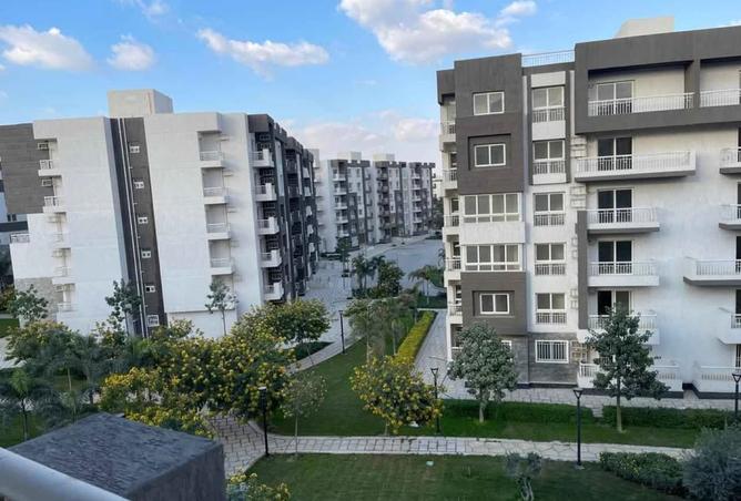 8552296 - Property Image 3