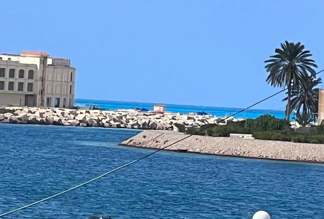 7936808 - صورة العقار 3