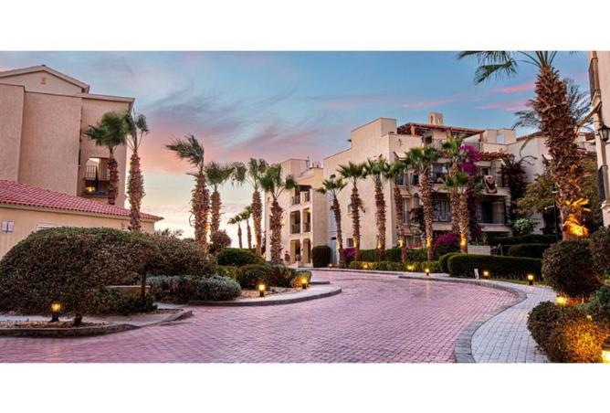 8282329 - Property Image 3