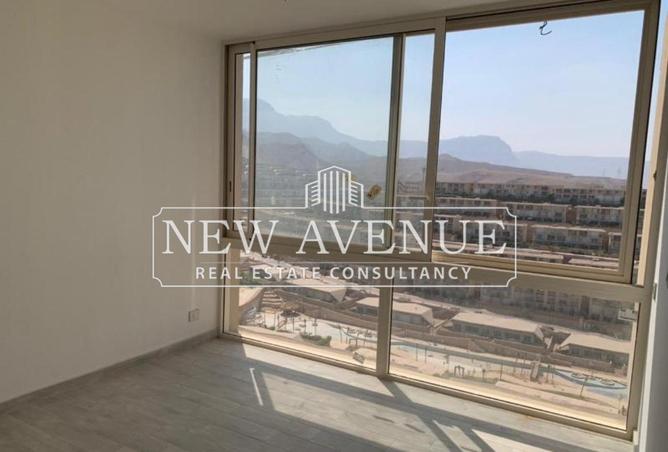 8338381 - Property Image 3