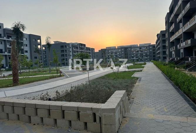 8117204 - Property Image 3