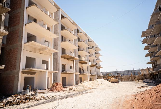 7998785 - Property Image 3