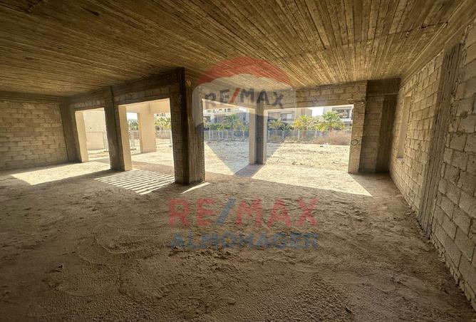 8239934 - Property Image 3