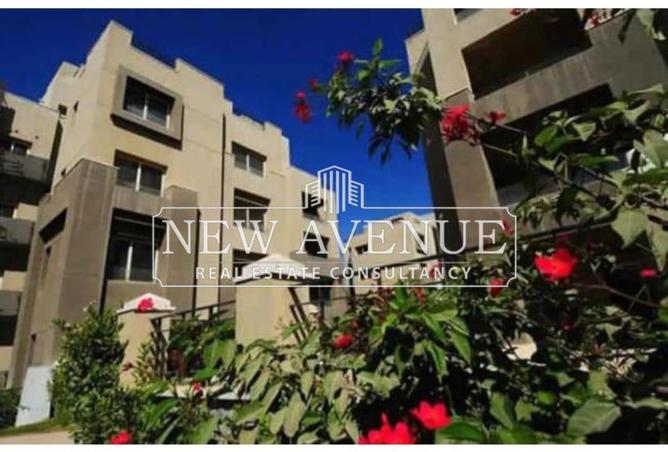 8216740 - Property Main Image