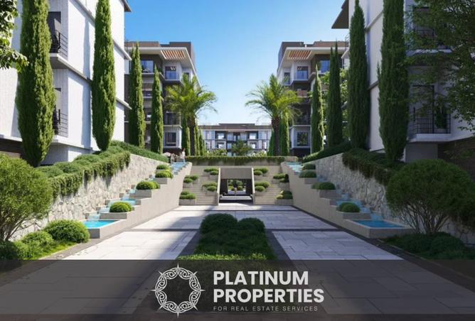 8375442 - Property Image 3