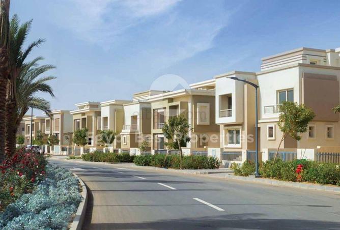 8317543 - Property Image 3