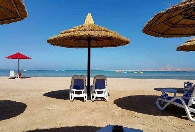 8221810 - صورة العقار 2