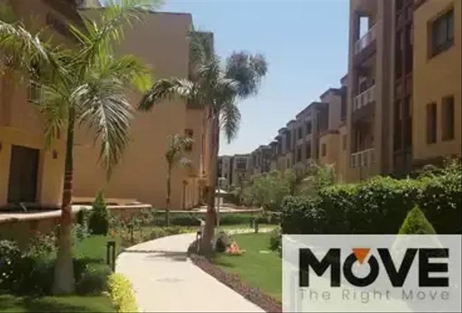 7973830 - صورة العقار 2