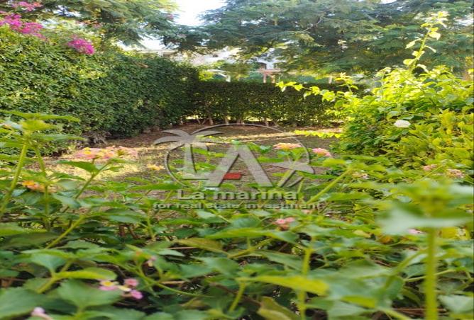 7995834 - Property Image 2