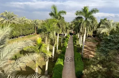 Villa for sale in Al Thawra El Khadra - 26th of July Corridor - 6 October City - Giza