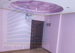شقة - 1 غرفة نوم - 1 حمام for للايجار in شارع السيدة سكينة إبنت الحسين - كفر عبده - رشدي - حي شرق - الاسكندرية