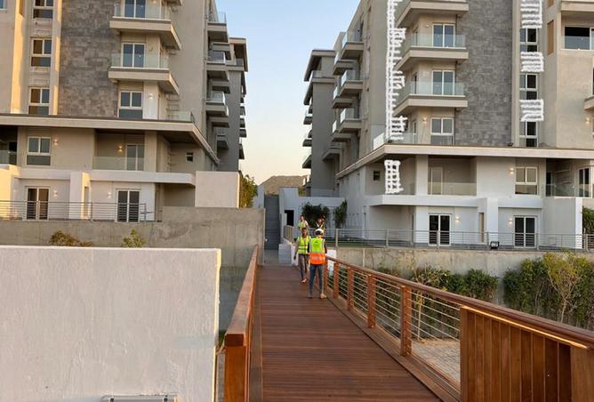 8427538 - Property Image 3