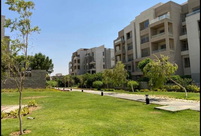 8016203 - صورة العقار 2