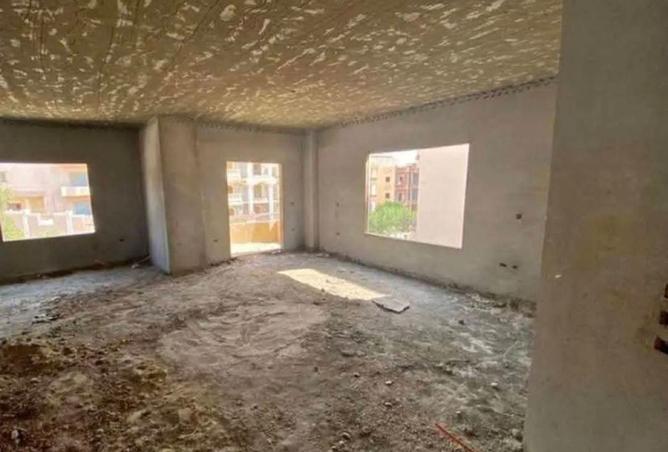 8296359 - Property Image 3