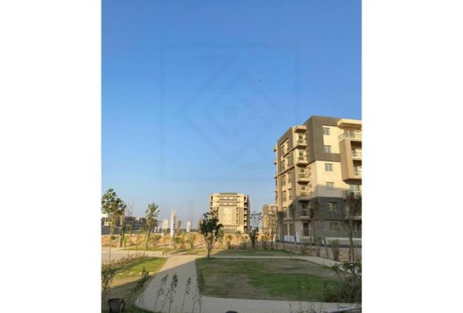 8286138 - Property Image 2