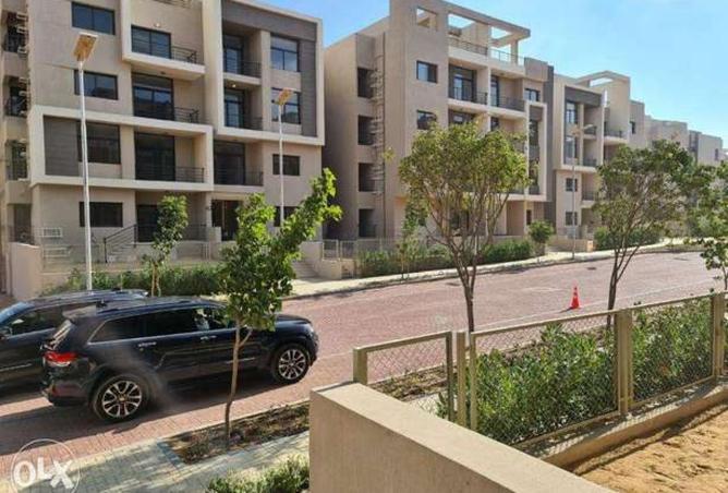 8239818 - Property Image 2