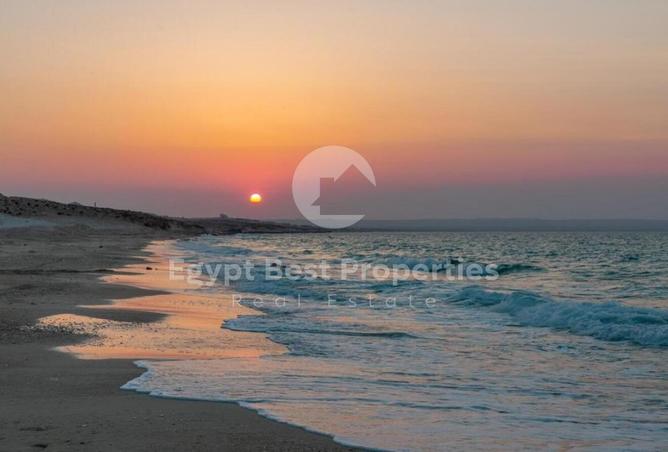 8189818 - Property Image 3