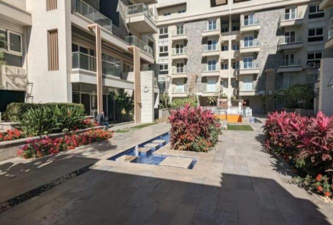 8135465 - Property Image 3