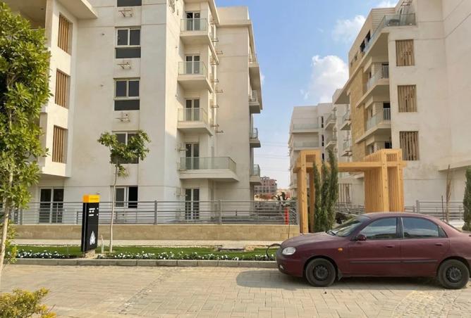 8097564 - Property Image 3