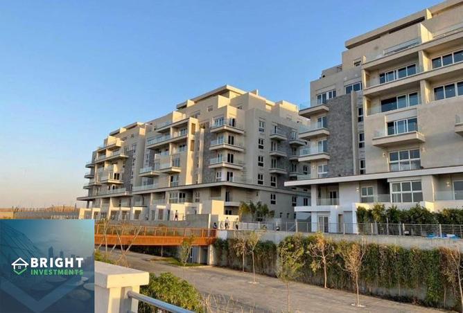 8084787 - Property Image 3