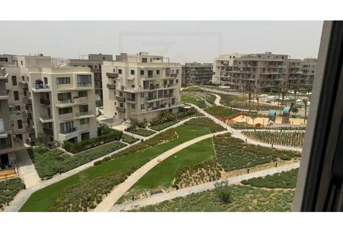 8041003 - Property Image 2