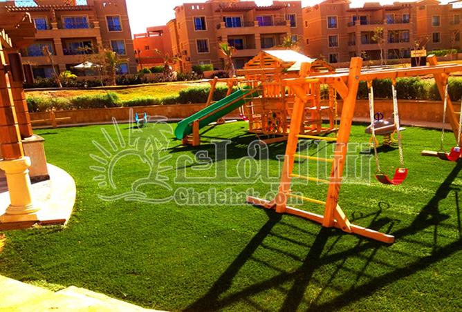 8246873 - Property Image 3