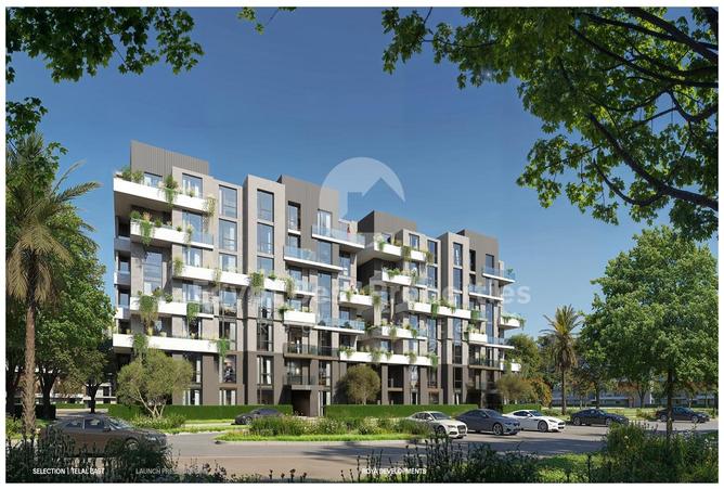 7982264 - Property Main Image