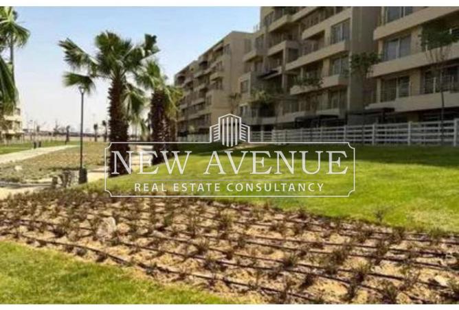 8048823 - Property Image 3