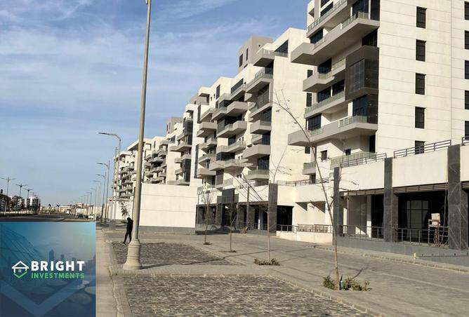 8253467 - Property Image 3