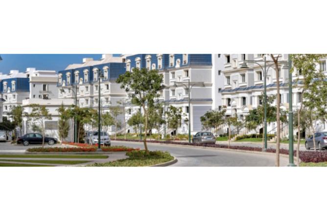 8184523 - Property Image 3