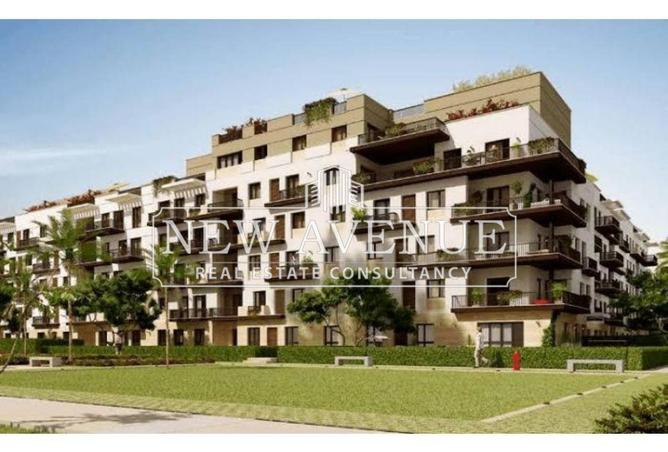 8484984 - Property Image 3