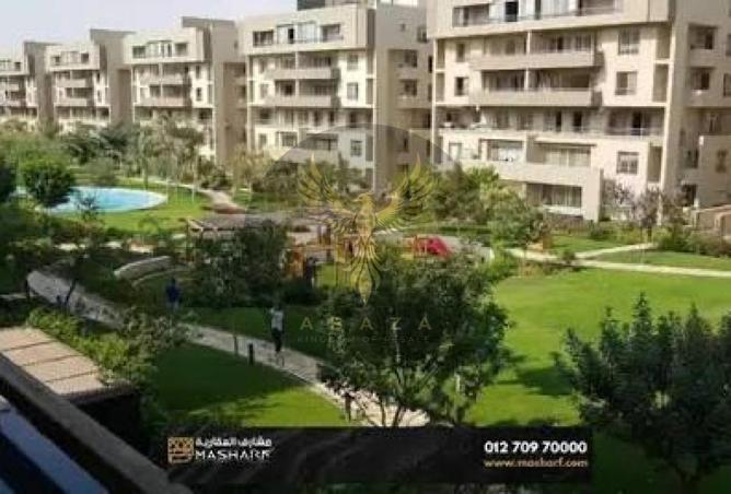 8019695 - Property Image 3
