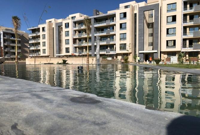 7982385 - Property Image 3