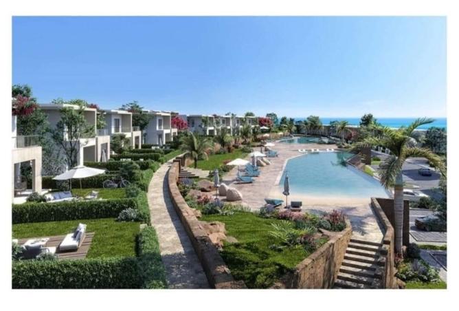 8138986 - Property Image 2