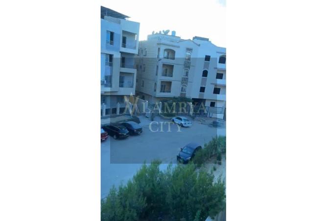 8042440 - Property Image 3