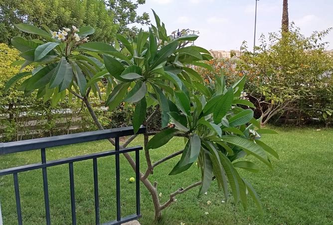 8258540 - Property Image 2