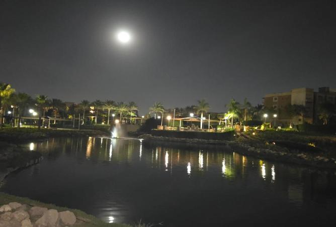 8477789 - صورة العقار 2