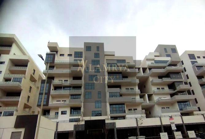 8538944 - Property Image 3